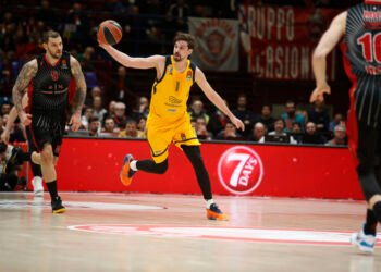 shved