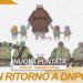 dnpcd