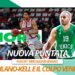 mercato