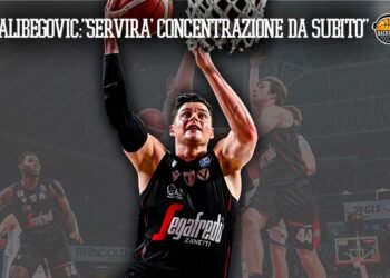 Amar Alibegovic