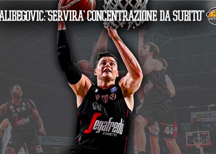 Amar Alibegovic