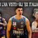chi l'ha visto basket