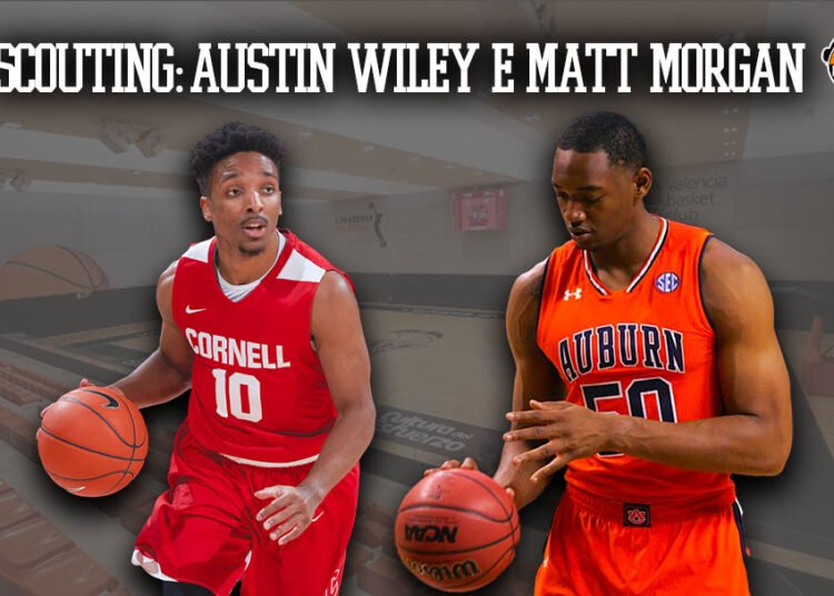 scouting Wiley morgan