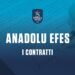 ANADOLU EFES