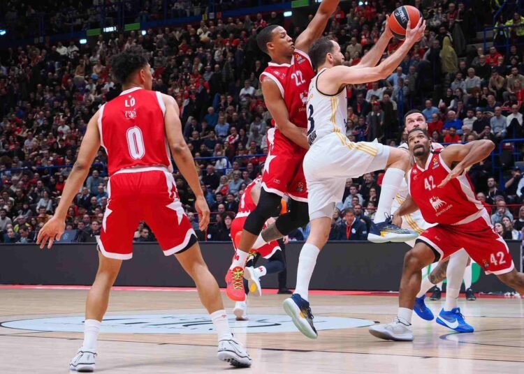 Sergio Rodriguez (Real Madrid)