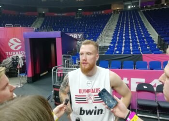 Brazdeikis