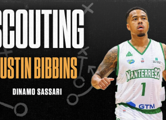 Bibbins