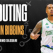 Bibbins