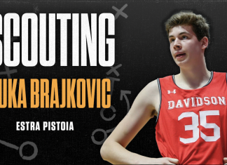 Brajkovic