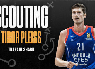 Pleiss