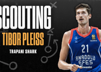 Pleiss