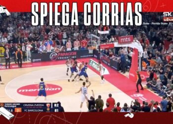Stella Rossa Barcellona