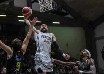 Baraldi Cordinier