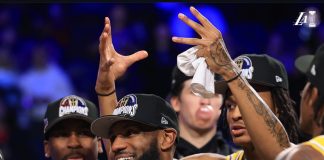 LeBron James In Season