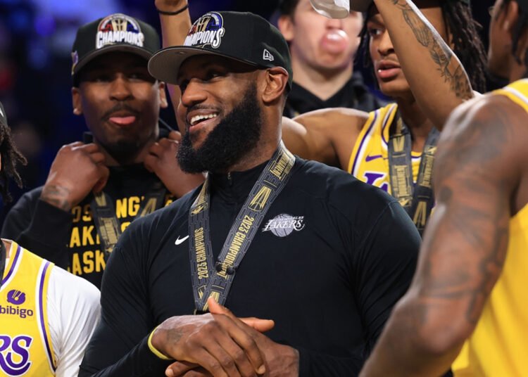 LeBron James In Season