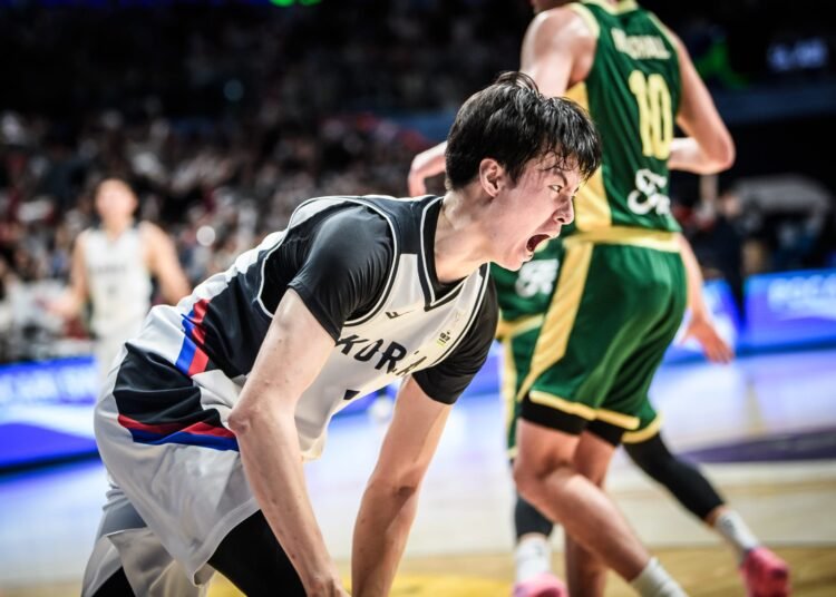 Hyunjung Lee: Fiba Window Profiles