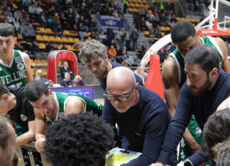 Avellino Pesaro