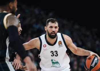 Nikola Mirotic