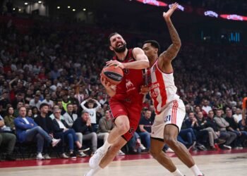 Olimpia Stella Rossa
