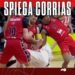 Olimpia Stella Rossa