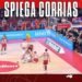 Stella Rossa Real Madrid