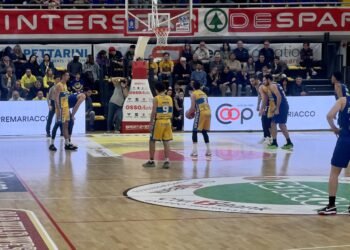 UEB Gesteco Cividale – Tezenis Verona 74-83. Le pagelle: