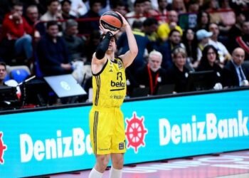 Tarik Biberovic