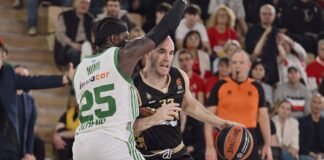 Calathes Partizan