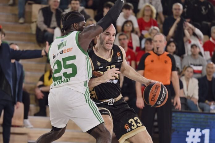 Calathes Partizan