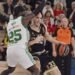 Calathes Partizan