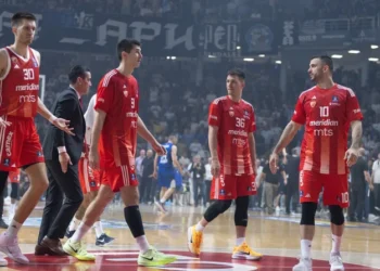 Buducnost Stella Rossa