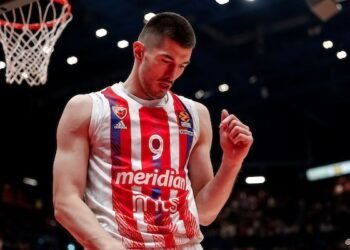 Luka Mitrovic