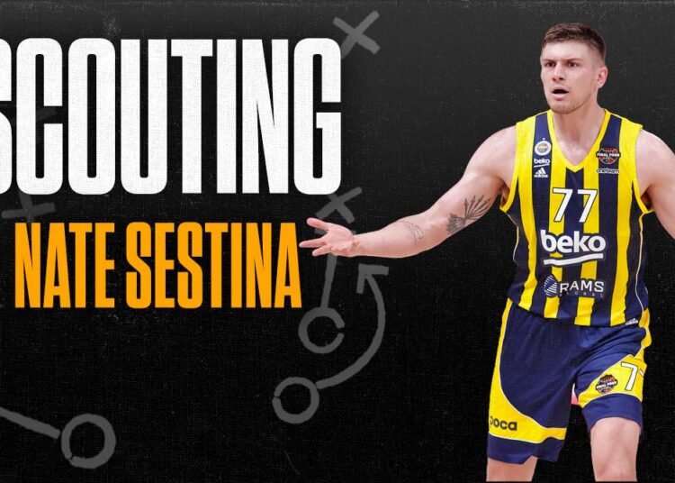 Nate Sestina, cosa porta all’Olimpia Milano ?