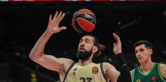 Toko Shengelia
