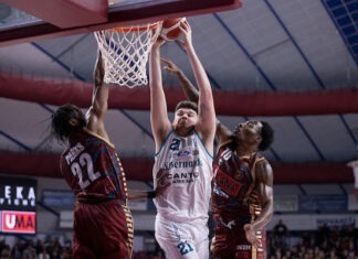 Grant Basile dice no a Brindisi: il lungo ex Cantù vola a Taiwan Grant Basile