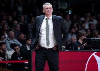 Zenit Radonjic