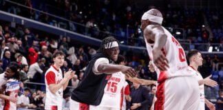 Openjobmetis Varese