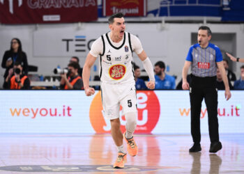 Mirza Alibegovic