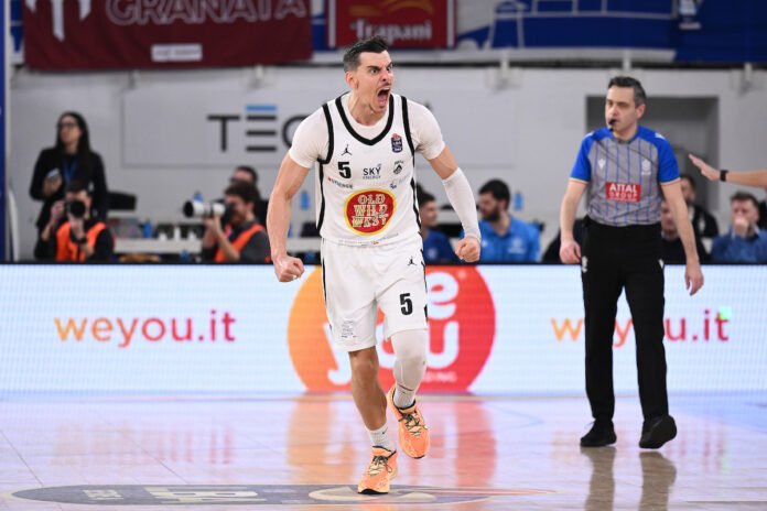 Mirza Alibegovic