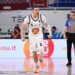 Mirza Alibegovic