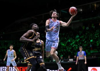 Leandro Bolmaro