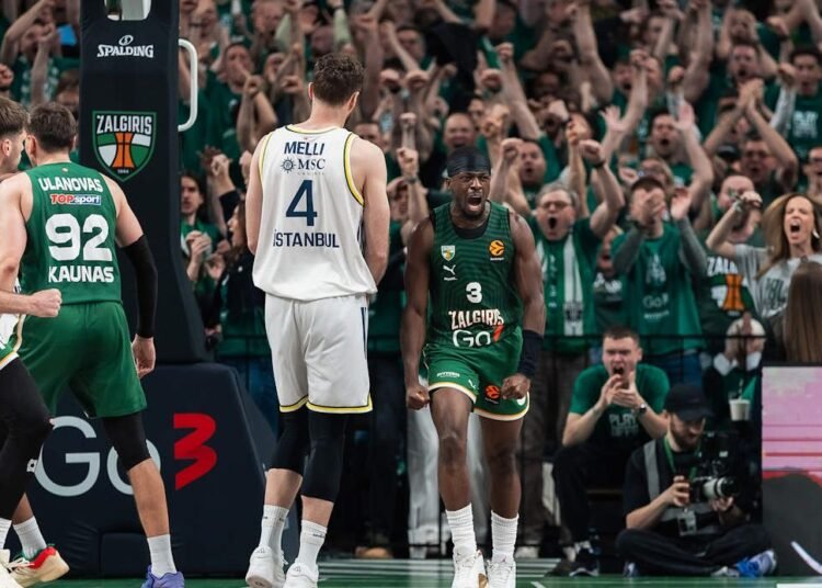 zalgiris fenerbahce francisco