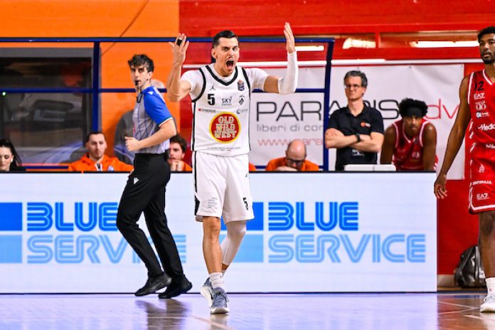 Mirza Alibegovic